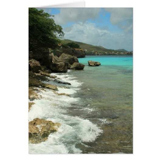 Playa Forti Cards (Front)