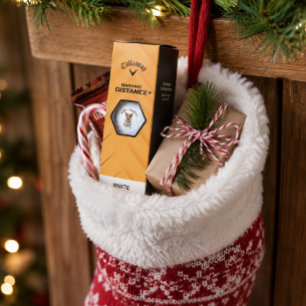 Playful Adorable Fun 'Merry Corgmas!' Dog Lovers Golf Balls