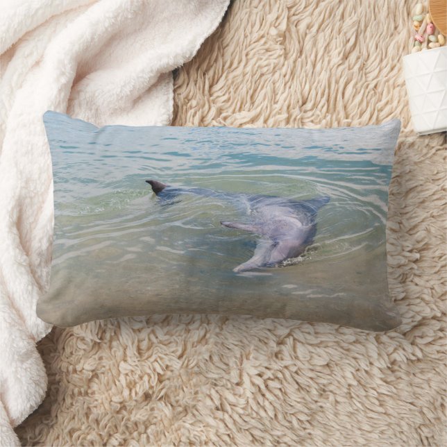 Playful and curious dolphin cushion (Blanket)