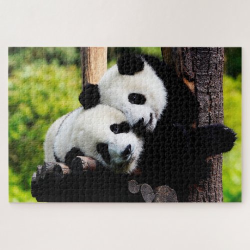 Playful Baby Pandas Jigsaw Puzzle