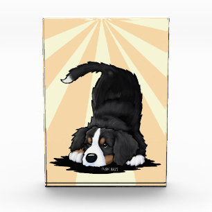 Playful Bernese Puppy Art Acrylic Award