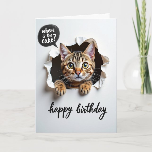 Playful Birthday Tabby Cat Card (Front)