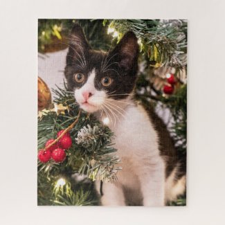 Playful Black and White Cat in Christmas Tree