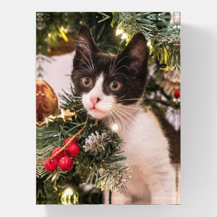 Playful Black and White Cat in Christmas Tree Paperweight