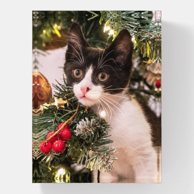 Playful Black and White Cat in Christmas Tree Paperweight (Vertical)