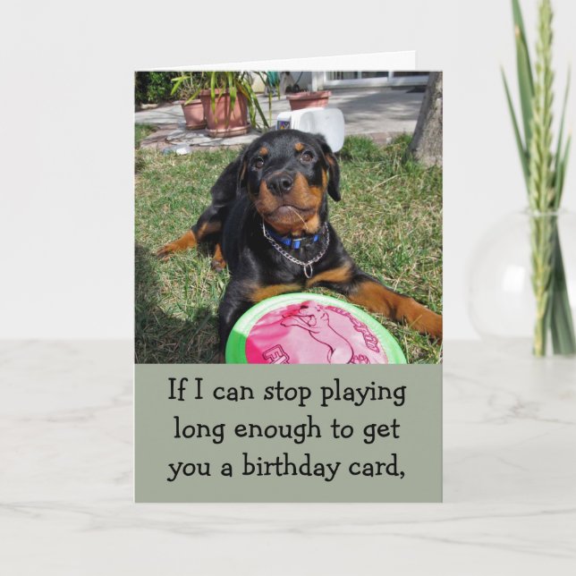 Playful Bossy Rottweiler Birthday Card (Front)