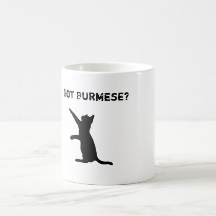 Playful Burmese Cat with &#39;Got Burmese?&#39; Text Coffee Mug