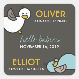 Playful Cartoon Ducks Twin Boys New Baby Stickers