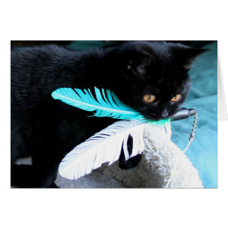 Playful cat catches feather toy cards