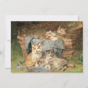 Playful Cats Julius Adam the Younger