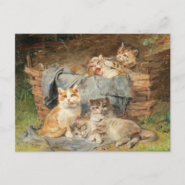 Playful Cats | Julius Adam the Younger Postcard (Front)