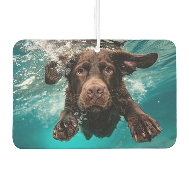 Playful Chocolate Labrador Swimming Underwater Air Freshener (Front)