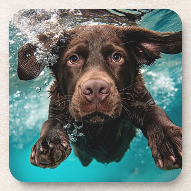 Playful Chocolate Labrador Swimming Underwater Beverage Coaster (Front)