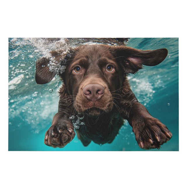 Playful Chocolate Labrador Swimming Underwater Faux Canvas Print (Front)