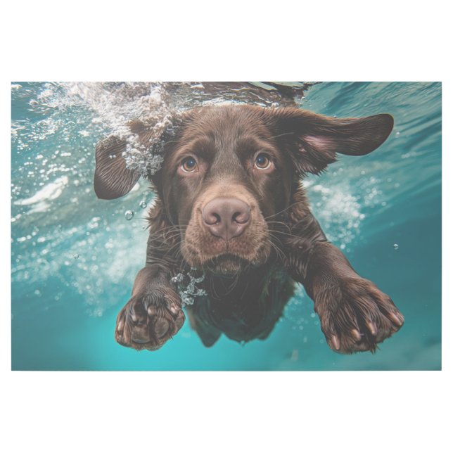 Playful Chocolate Labrador Swimming Underwater Gallery Wrap (Front)