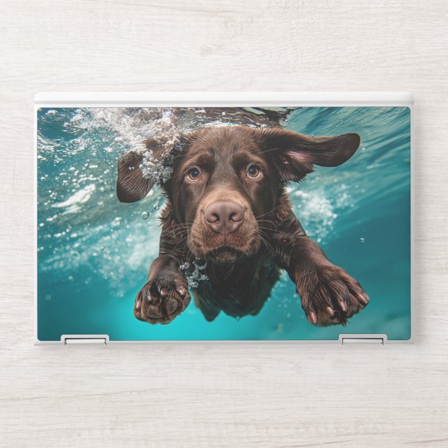 Playful Chocolate Labrador Swimming Underwater HP Laptop Skin (Front)