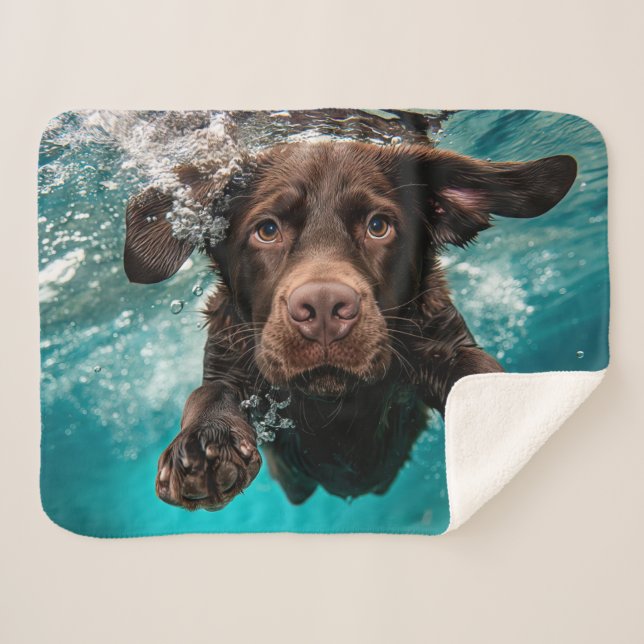 Playful Chocolate Labrador Swimming Underwater Sherpa Blanket (Front (Horizontal))