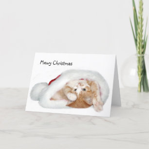 Playful Christmas kitten Holiday Card