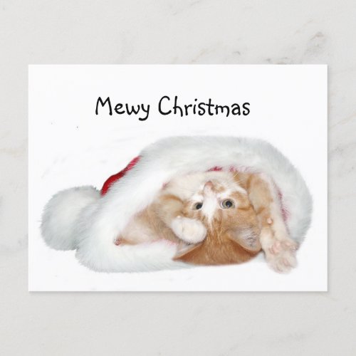 Playful Christmas kitten Holiday Postcard