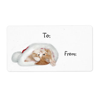Playful Christmas kitten Label