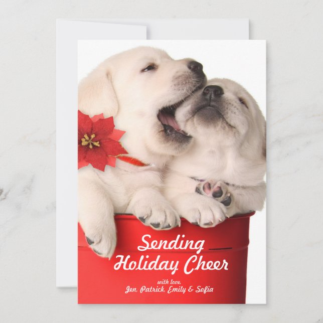 Playful Christmas Puppies In A Red Container Holiday Card (Front)