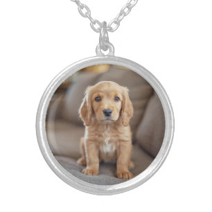 Playful Cocker Spaniel Round Silver Plated Necklace