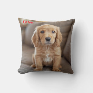 Playful Cocker Spaniel Throw Pillow