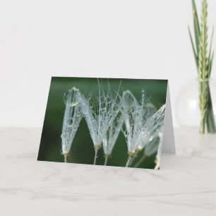 Playful Dandelion With Dew Poetry of Nature Card
