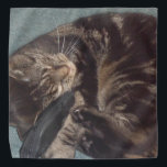 Playful Dave Bandana<br><div class="desc">Bandana's with Playful Dave on them</div>