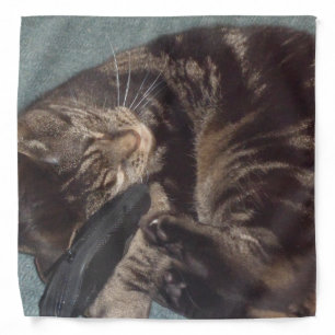 Playful Dave Bandana