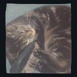 Playful Dave Bandana<br><div class="desc">Bandana's with Playful Dave on them</div>
