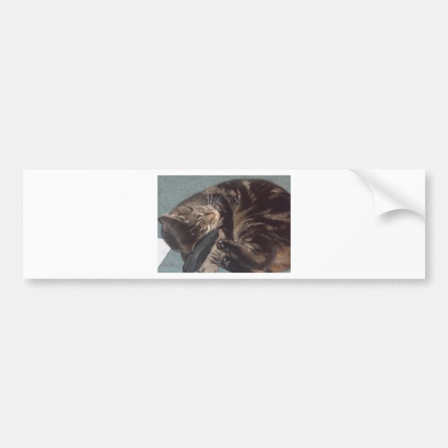 Playful Dave Bumper Sticker (Front)