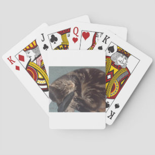 Playful Dave Poker Cards