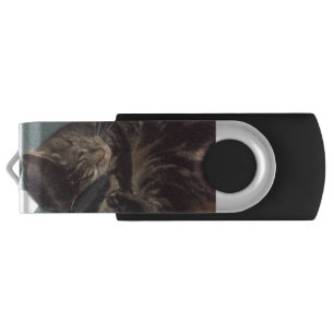 Playful Dave Silver 16GB USB Drive