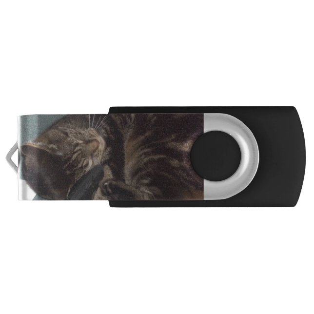 Playful Dave Silver 16GB USB Drive (Back)