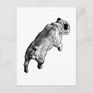 Playful Days Postcard