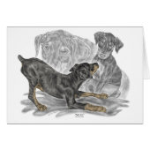 Playful Doberman Pinscher Puppies (Front Horizontal)