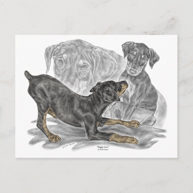Playful Doberman Pinscher Puppies Postcard (Front)