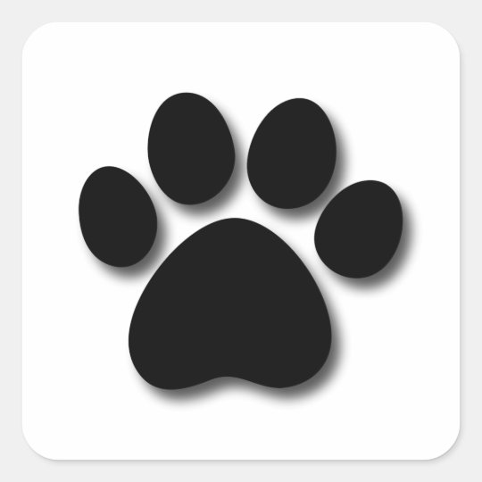 Playful Dog Paw Print for Dog Lover BLACK WHITE Square ...