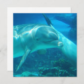 Playful Dolphins Invitations (Front/Back)