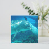 Playful Dolphins Invitations (Standing Front)