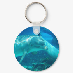 Playful Dolphins Keychain