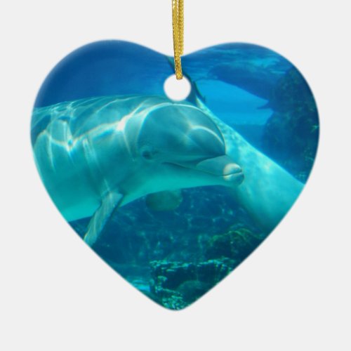Playful Dolphins Ornaments