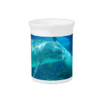 Playful Dolphins Pitcher