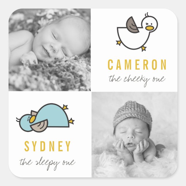 Playful Ducks Twin Boys New Babies Photo Sticker (Front)