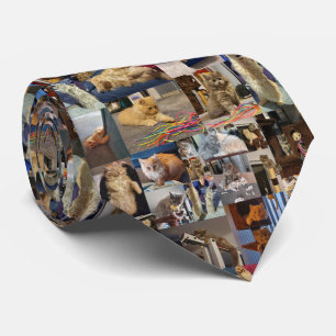 Playful Fluffy Kittens Photo Collage, Neck Tie