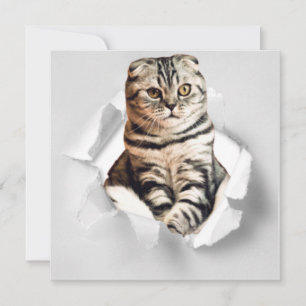 Playful Funny Torn Paper Cute Cat Lover Humor