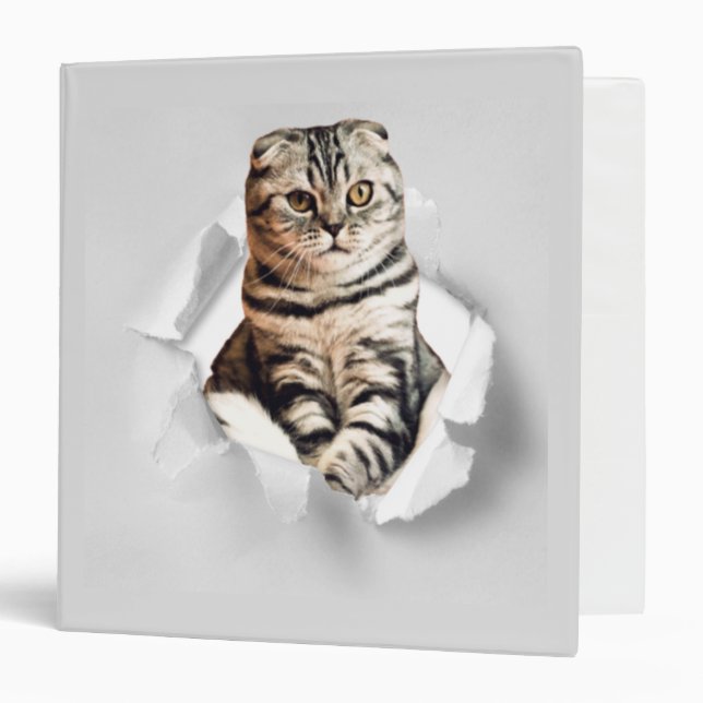 Playful Funny Torn Paper Cute Cat Lover Humor 3 Ring Binder (Front/Inside)