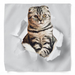 Playful Funny Torn Paper Cute Cat Lover Humor Bandana
