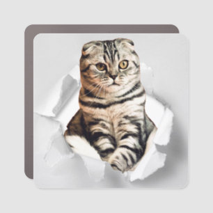 Playful Funny Torn Paper Cute Cat Lover Humor Car Magnet
